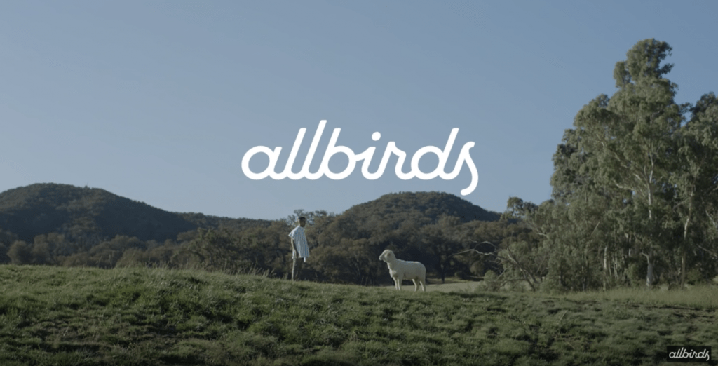allbirds ad 1
